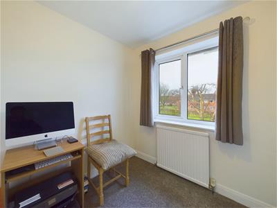 Picture 23